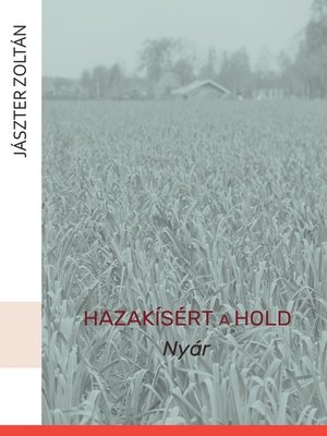 cover image of Hazakísért a Hold. Nyár